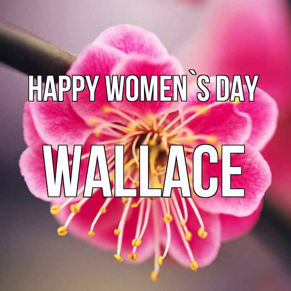 Greetings card с именем, Wallace happy women`s day цветы Greetings with text for free download 
